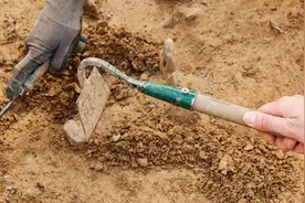成果丰硕！云南一在建高速施工现场发掘出上万件文物图片