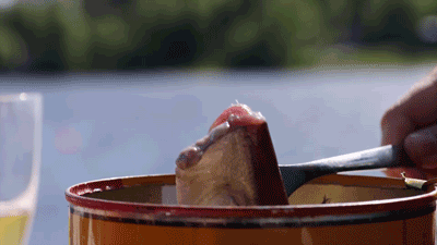 鲱鱼罐头再登热搜，臭味美食为何总有人觉得香？