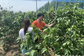 假期好去处！桐乡果园采摘攻略请收好图片