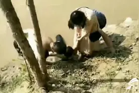 菏泽一家人黄河边玩耍陷入险境，陌生人纵身一跃救回三条命图片