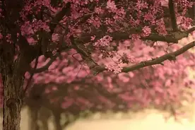 中国最美的十大名诗，一生至少要读一次图片