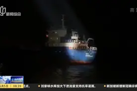 上海海警：首次查获整车走私入境  9名船员已被刑拘视频封面