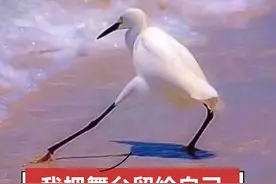 起什么名字都像骂人！中华悲催姓氏到底哪家惨？图片