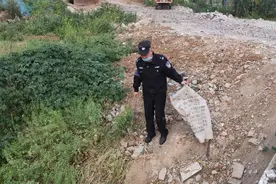 2米菜花蛇“五一”游小区，民警抓住送它回归大自然图片