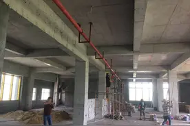 跨境电商福利来了！龙岗运营中心下月开始测试运行图片