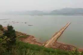 五月第一钓，与去年有点相像，小有收获图片