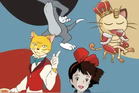 猫奴初级测试题，我第一道就错了图片
