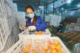 跟着好友买 购物添导购图片
