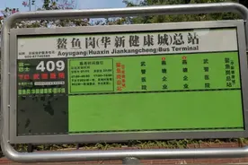 去华新健康城方便了，又一条便民公交地铁接驳线开通图片