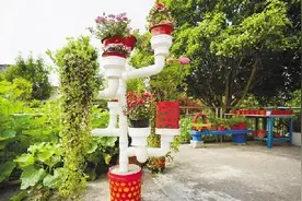 “水管盆栽”引围观 海宁这位水电工打造的花园不一般图片