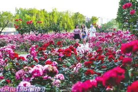 绵阳这些“网红”景点，你打卡了吗？图片