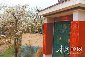 寨子春来花枝俏图片