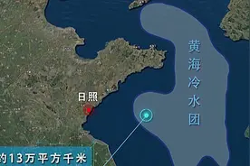 国之重器“深蓝1号”背后：黄海三文鱼千亿产业如何“惊险一跃”图片