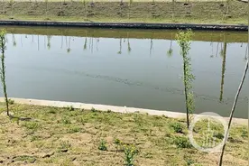 江苏少女称被补课老师性骚扰三年续：涉事者被撤销教师资格并岗位降级图片