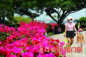 高温高湿 厦门已正式入夏图片