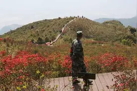 与最美的风景为伴！他是圣井山杜鹃花海的“护花使者”图片