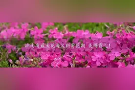 重磅！国务院同意湖南湘潭市、郴州市设立跨境电子商务综合试验区图片