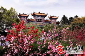 9元秒杀桃花源门票、199元住高端民宿！常德文旅投集团还送上了这些优惠图片