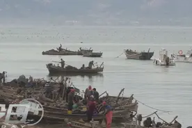 青岛扇贝大丰收，这样做更好吃，你尝鲜了没？图片