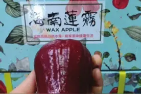 跟晚报GO上新海南黑金刚莲雾 蓝莓秒杀200份售罄在即，错过再没这个价图片