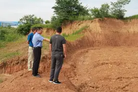 以修路为名毁坏山林，40多亩山地变成荒山图片