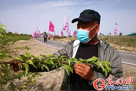 昔日荒山垃圾场 今日万亩生态园图片