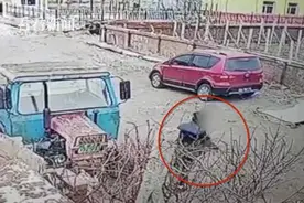 真·“顺手牵羊”！女子路上“捡”只羊 抱车里后溜了……图片