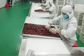 哈密企业助推转移就业 贫困户实现脱贫增收图片