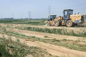 河北大名“麦地被强行夷为平地”调查结果：行拘施工方人员，给予村支书严重警告处分图片