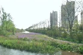 秦皇岛：绿化裸露地块 提升城市“颜值”视频封面