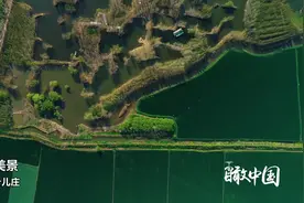 瞰中国｜台儿庄春色美景视频封面