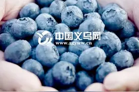 水果未上市，义乌老板就接单200万元！靠的是什么？图片