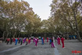 广场舞阿姨持续数日“热舞”后悲剧了：一条腿不能下地走动图片