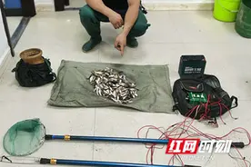 绥宁：森林公安铁拳出击 助力野生鱼类生态保护图片