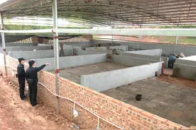 重庆一家四人盗两千余块人行地砖装修猪舍，涉嫌盗窃全被控制图片