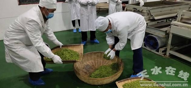 “龙神”：天然有机茶的缔造者