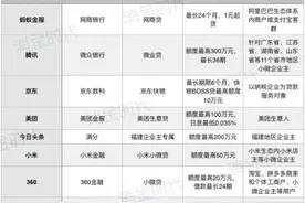 微众银行小微企业贷余额增长150% 互联网巨头为何扎堆进入小微金融？图片