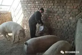 弘扬蒙古马精神•身边的榜样丨赵光：用双手摘去贫困帽图片