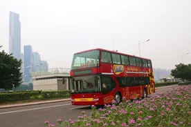 观光巴士全面恢复运营，还有这些优惠可享图片