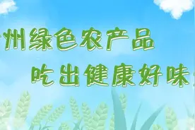遇见福泉丨印象太极宫图片