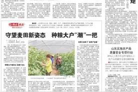 守望麦田新姿态 种粮大户“潮”一把图片