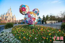 上海迪士尼乐园门票今日起重新发售图片