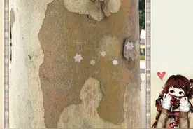 最爱的她｜最疼我的人是她图片