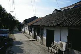 奉贤有个地方叫柘林图片