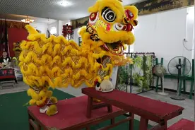 从“青黄不接”到文化名片，深圳这只醒狮队“翻山越岭终采灵芝”视频封面