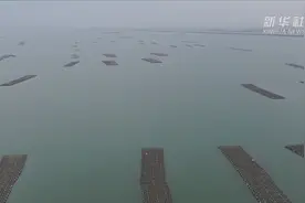 小海鲜有大市场：红沙湾海域生蚝养殖视频封面