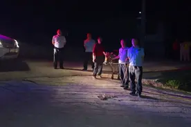 耕牛挣脱缰绳“跑路” 警民摸黑搜山寻回图片