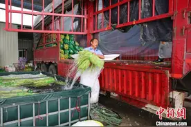 三亚发放千万元冬季瓜果蔬菜产销补贴奖励图片