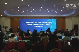 引机构、拓渠道 上海临港新片区按下金融开放创新“快进键”视频封面