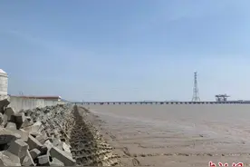 杭州5月8日起禁售8种海捕海鲜 响应东海休渔季图片